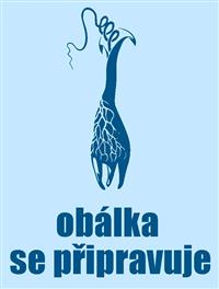 Kostelík, který se radoval